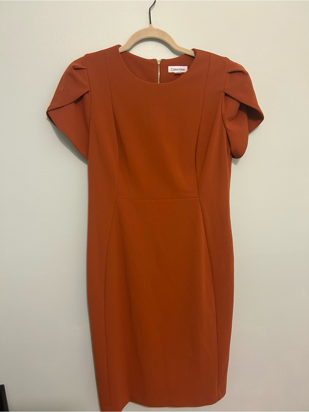 Calvin Klein Rust Orange Sheath Dress 12